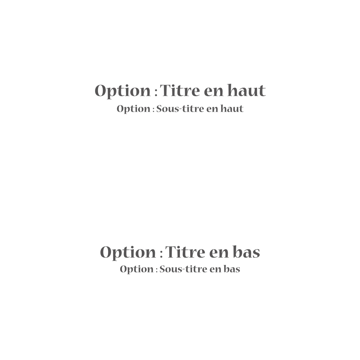 Votre photo transformée - Format Horizontal